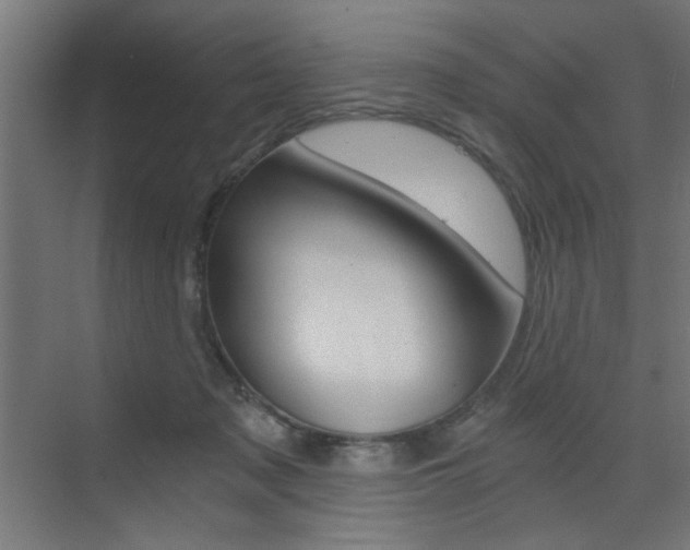 X0000072960317200607211011