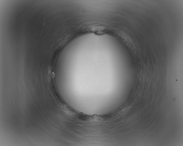 X0000072960321200607211011