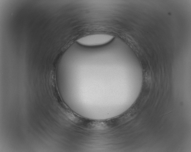 X0000072960322200607211011