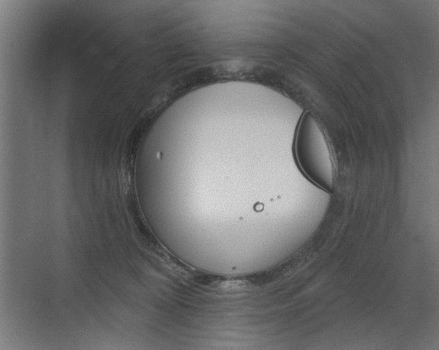 X0000072960324200607211011