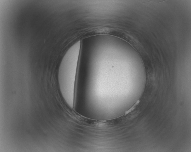 X0000072960325200607211011