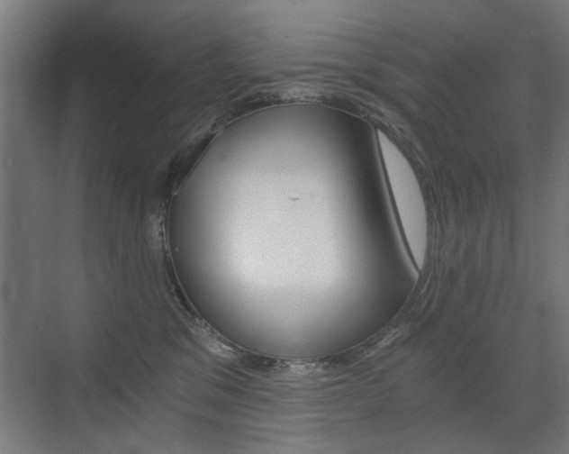 X0000072960329200607211011