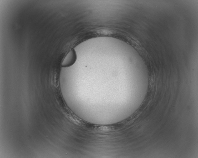 X0000072960330200607211011