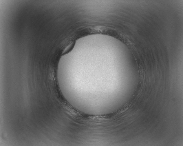 X0000072960331200607211011