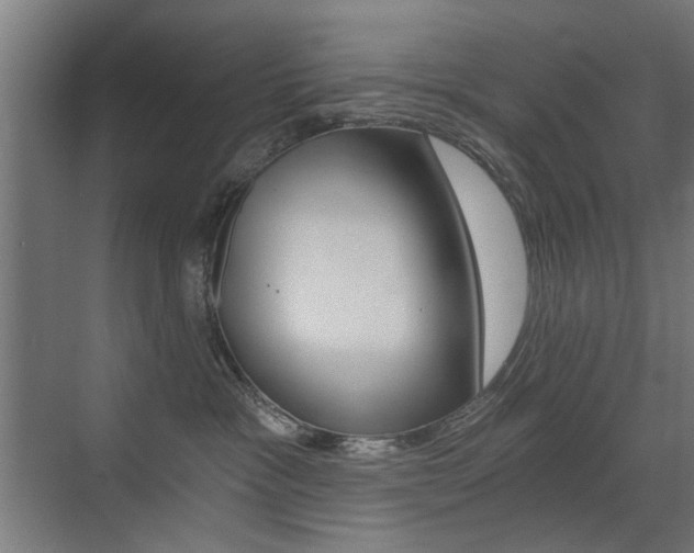 X0000072960333200607211011