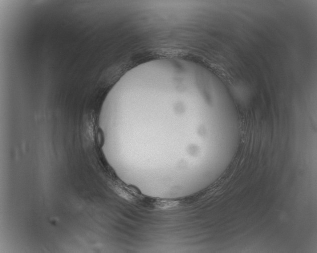 X0000072960334200607211011