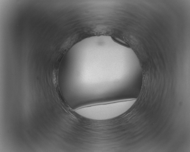 X0000072960335200607211011