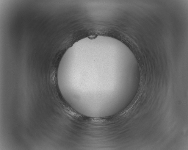 X0000072960336200607211011