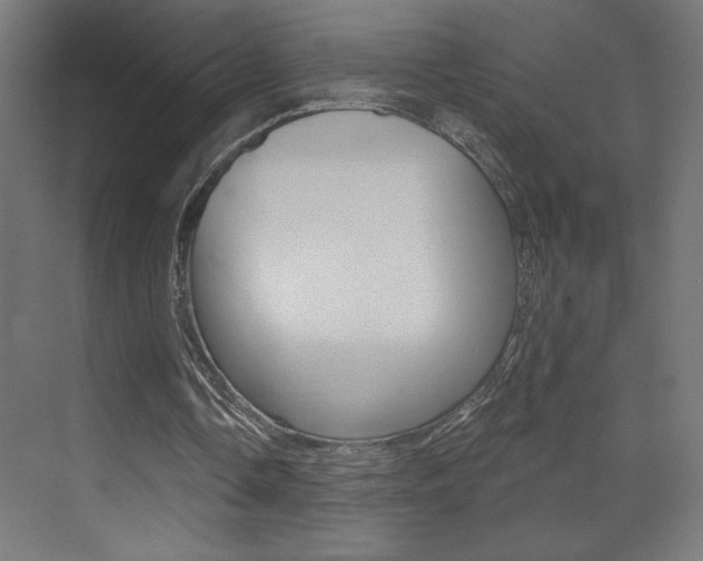 X0000072960338200607211010
