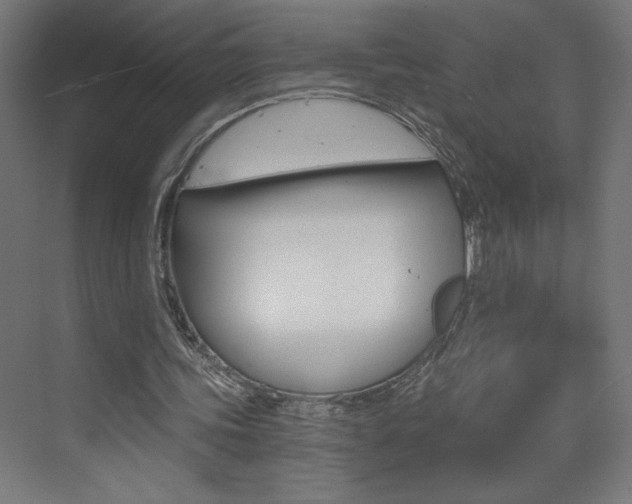 X0000072960339200607211010