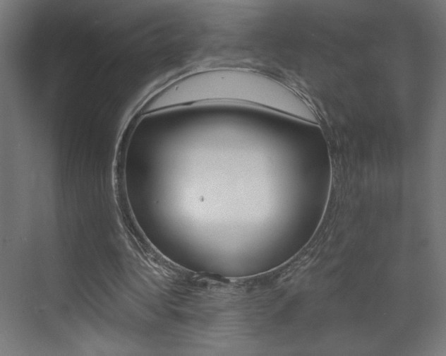 X0000072960340200607211010