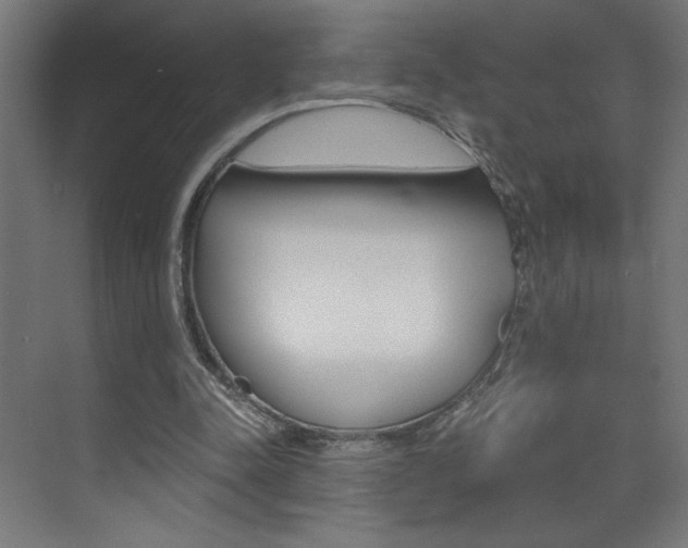 X0000072960342200607211010
