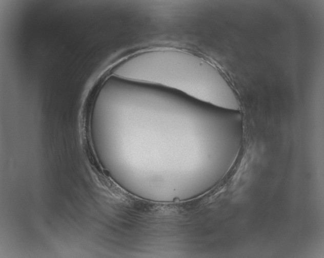 X0000072960343200607211010