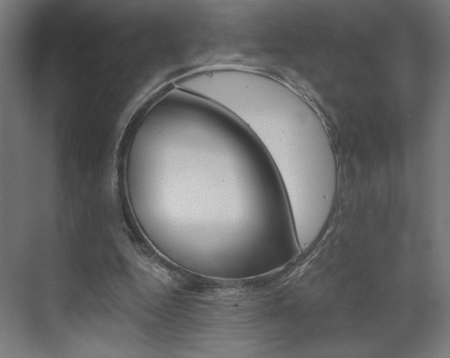X0000072960344200607211010