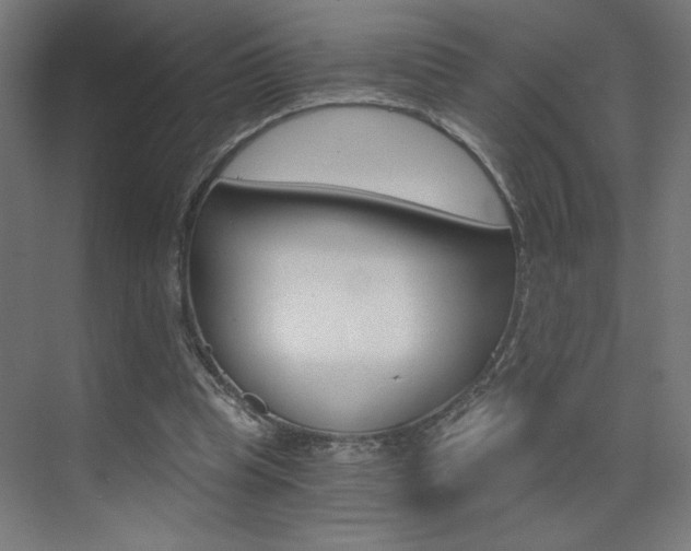 X0000072960345200607211010