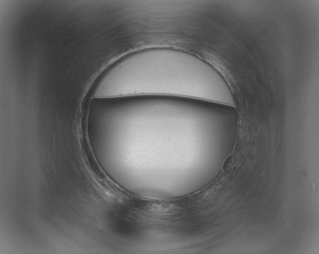X0000072960346200607211010