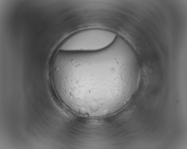 X0000072960347200607211010