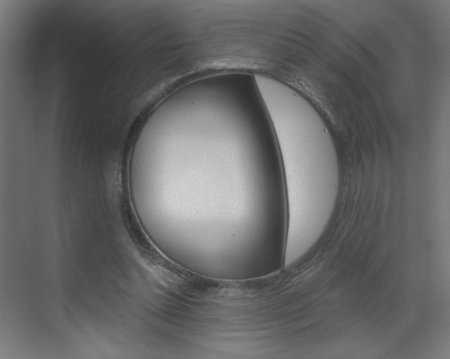 X0000072960348200607211010