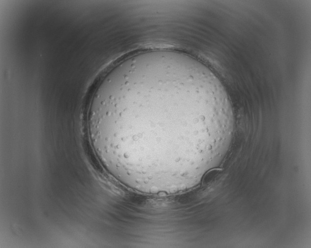 X0000072960351200607211010