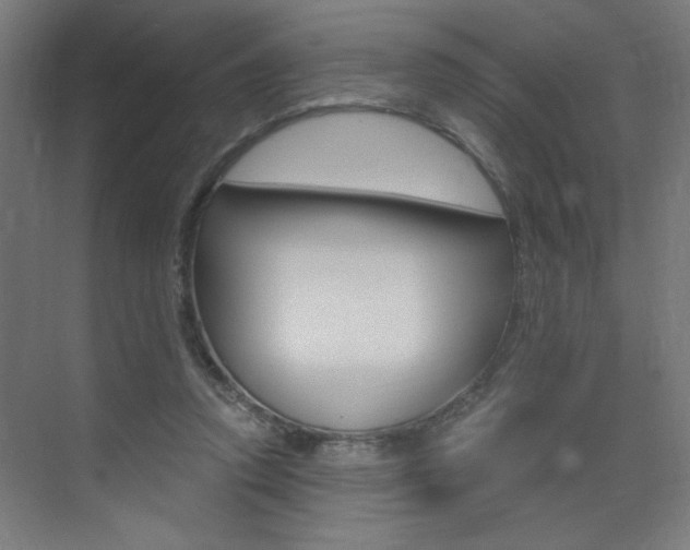 X0000072960354200607211010