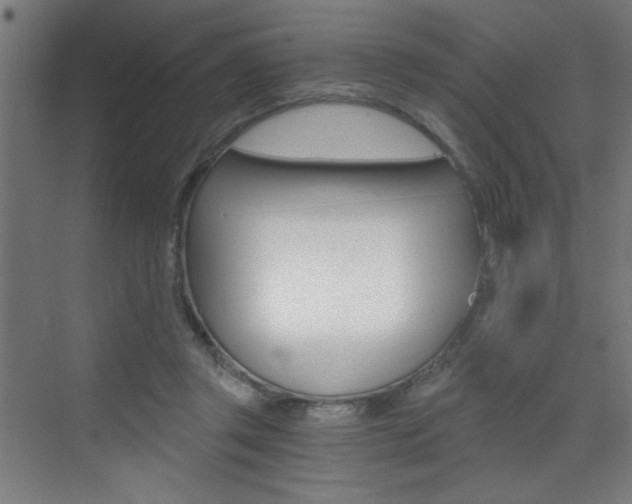 X0000072960357200607211010