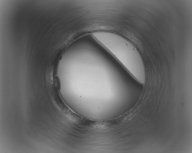 X0000072960358200607211010