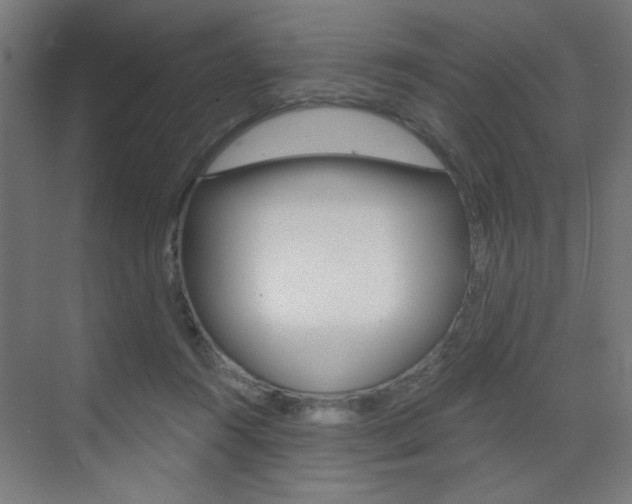 X0000072960360200607211010