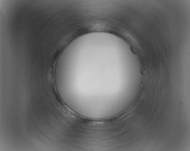 X0000072960361200607211010