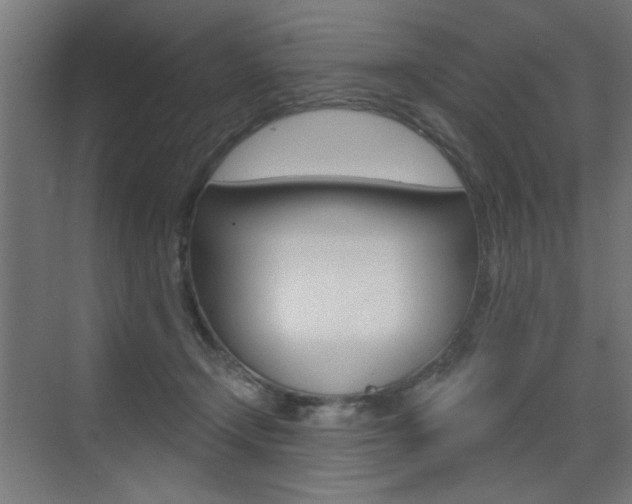 X0000072960366200607211010