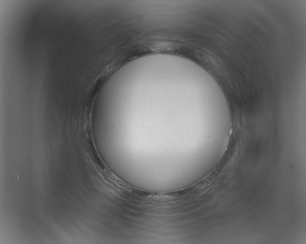 X0000072960367200607211011