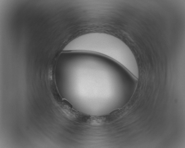 X0000072960368200607211011