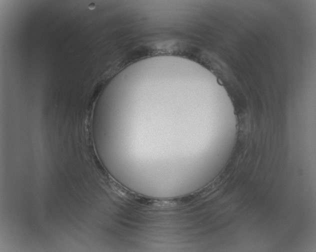 X0000072960369200607211011