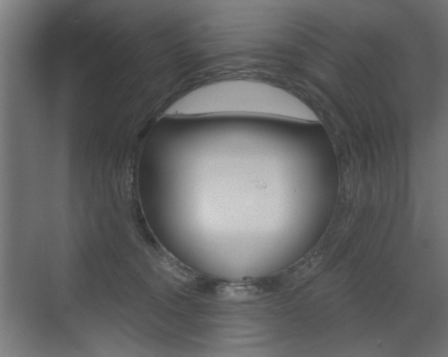 X0000072960372200607211011