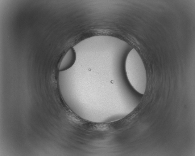 X0000072960377200607211011