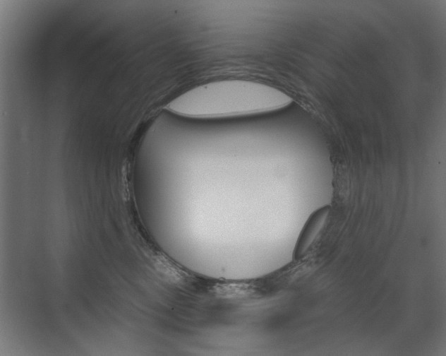 X0000072960378200607211011