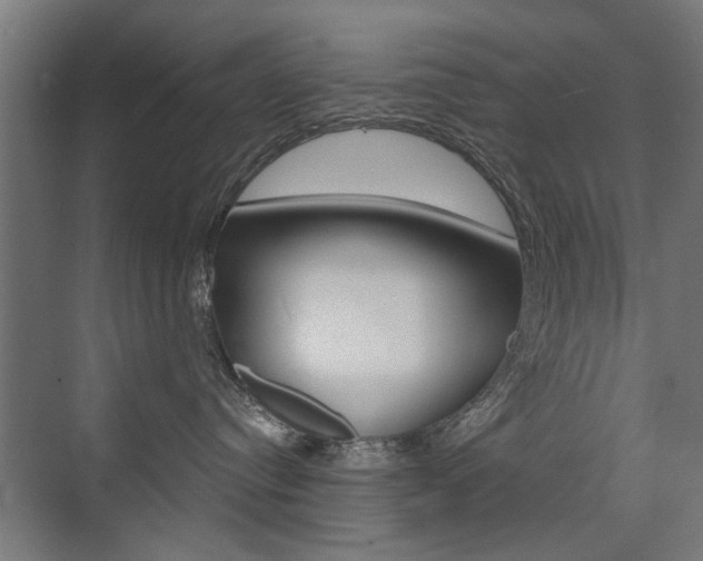 X0000072960384200607211011