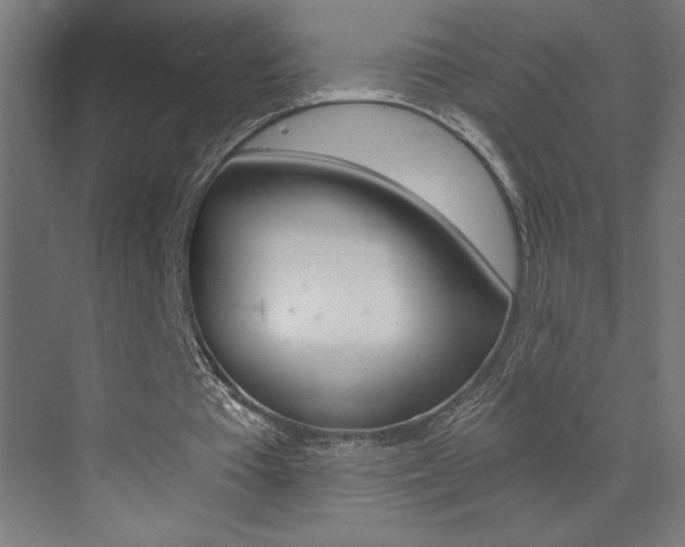 X0000072960385200607211010