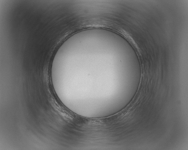 X0000072960386200607211010