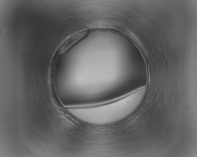 X0000072960387200607211010