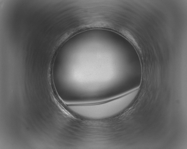 X0000072960389200607211010