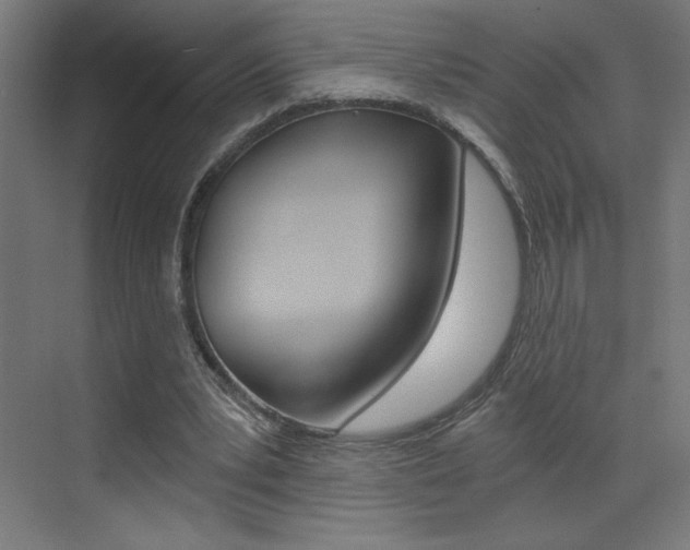 X0000072960391200607211010