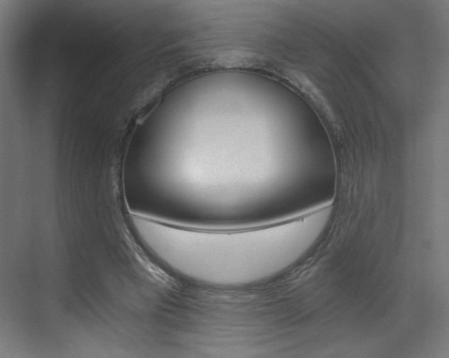 X0000072960393200607211010