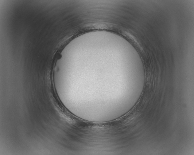 X0000072960394200607211010
