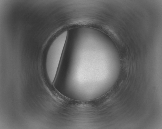 X0000072960400200607211010