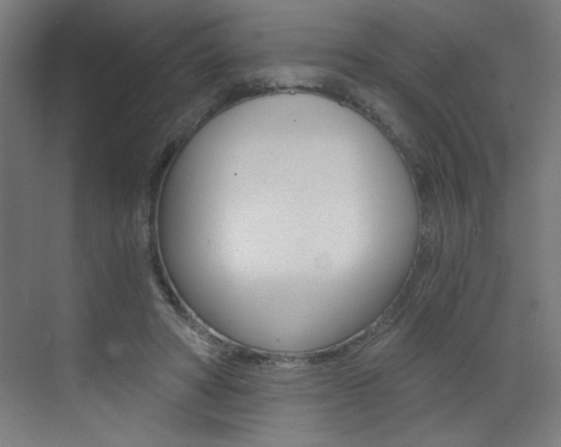 X0000072960402200607211010
