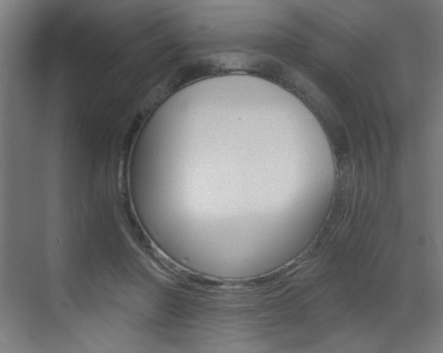 X0000072960406200607211010