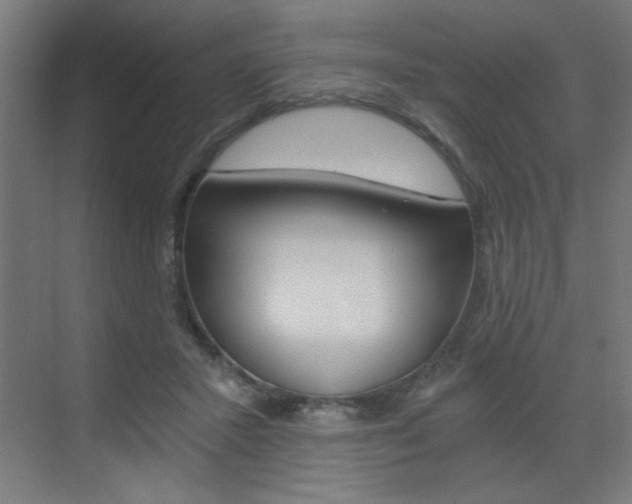 X0000072960407200607211010