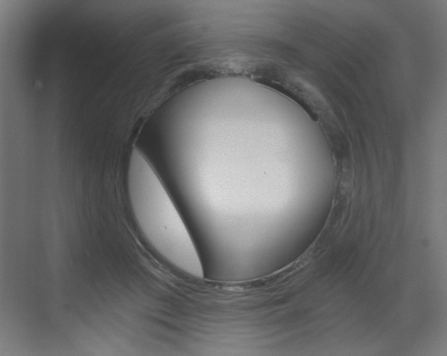 X0000072960409200607211010