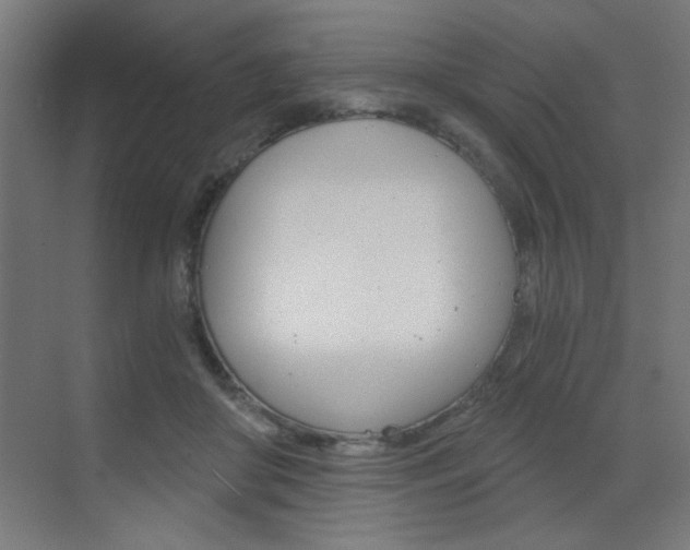 X0000072960410200607211010