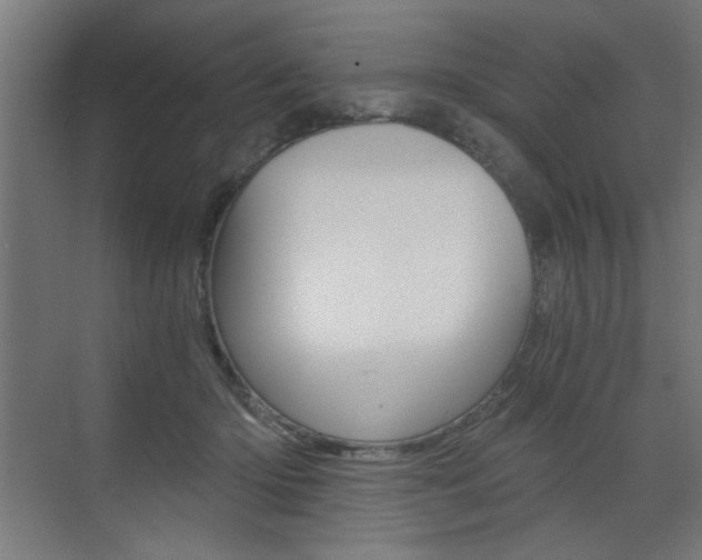 X0000072960414200607211009